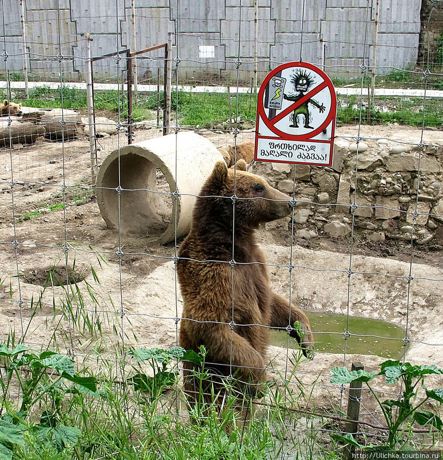 Тбилисский зоопарк