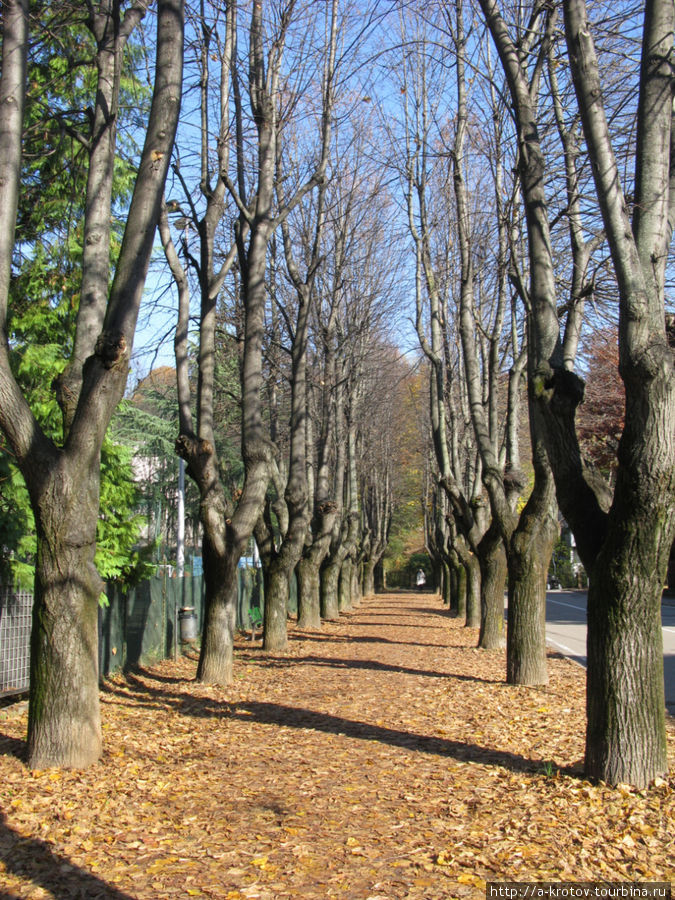 Осень, однако Традате, Италия