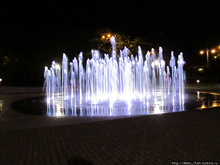 Ночной Торунь Торунь, Польша