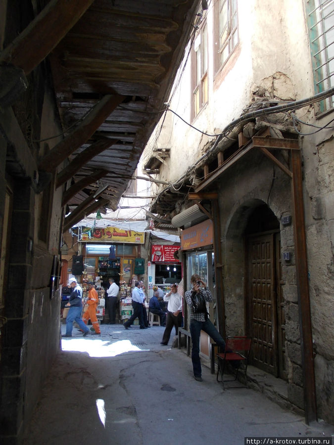 Дамаск обыкновенный, Старый город, апрель 2012 Дамаск, Сирия