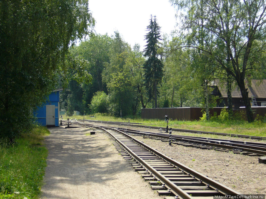 Я этим городом храним (По дачным предместьям) Санкт-Петербург, Россия