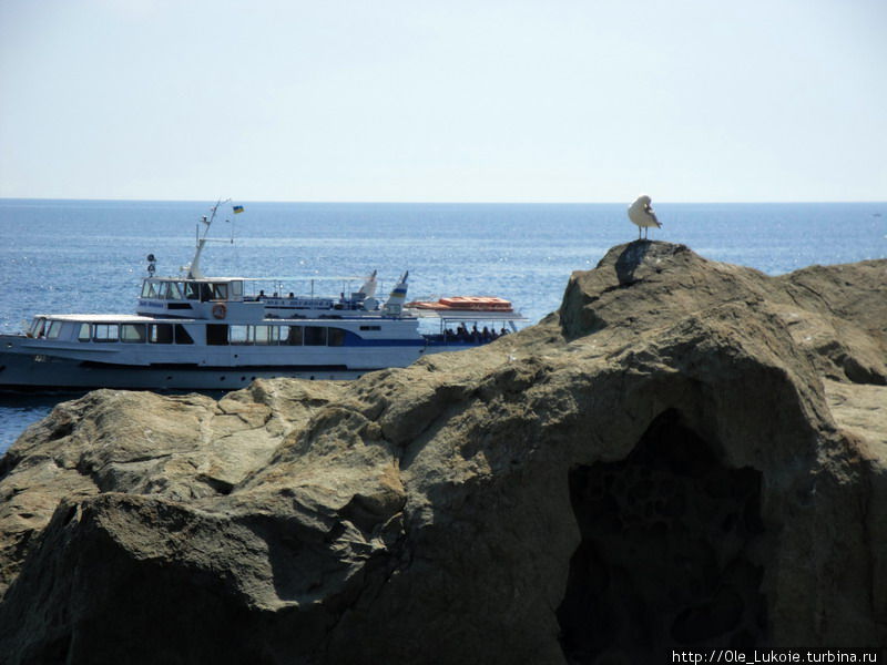 В гости к графу...Воронцовский  дворец, Алупка 07.2011 Алупка, Россия