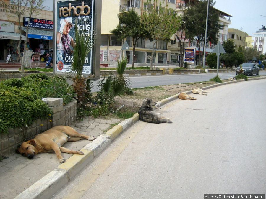 Это, между прочим, — ценральная улица — бульвар Ататюрка. Дидим, Турция