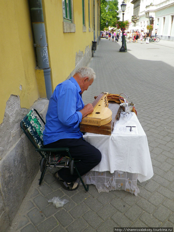 Уличный музыкант Эгер, Венгрия