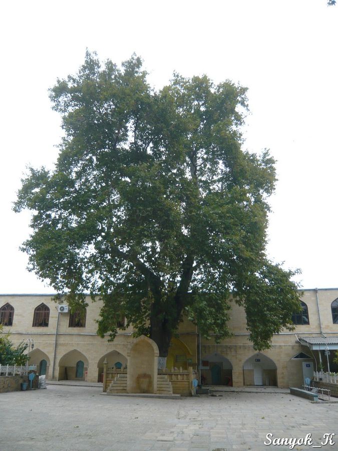 Действующая медресе, является частью комплекса Дербент, Россия