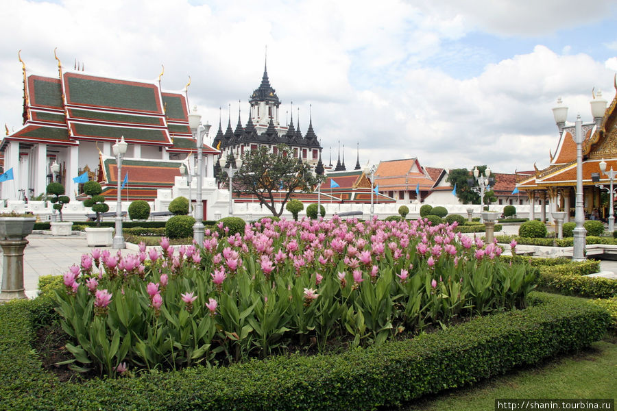 Лоха Прасат и Ват Ратчанадда Бангкок, Таиланд