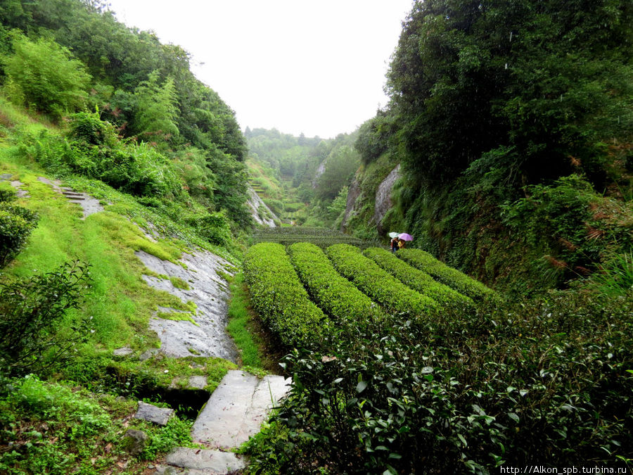 Уишань — горы в которые хочется вернуться (Часть 1) Уишань, Китай