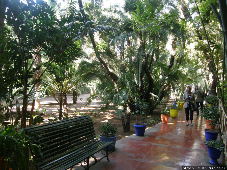 Сад  Мажорелли Марракеш, Марокко