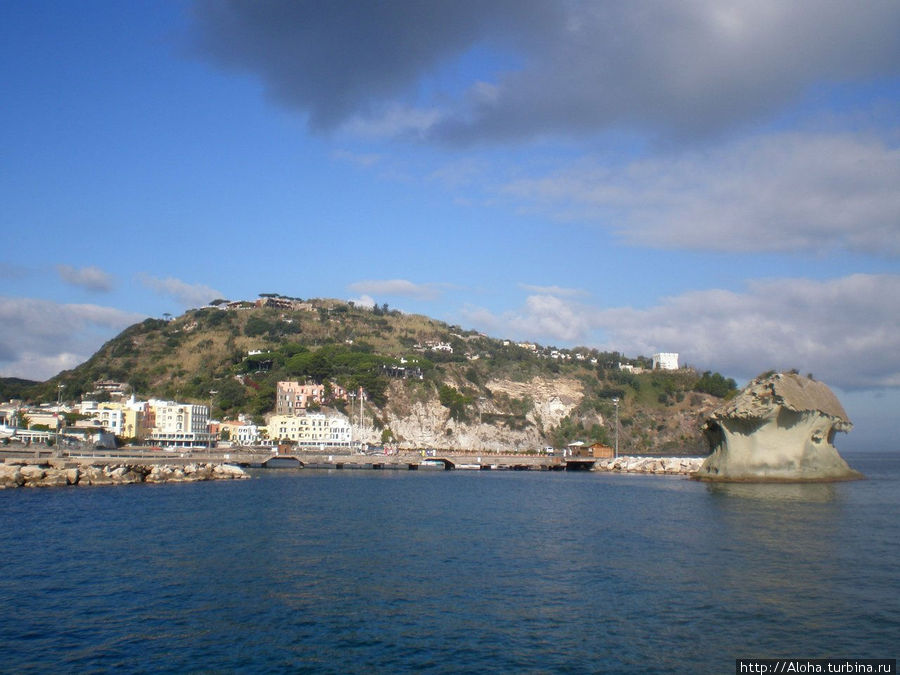 Фунго на фоне Монте Вико Остров Искья, Италия