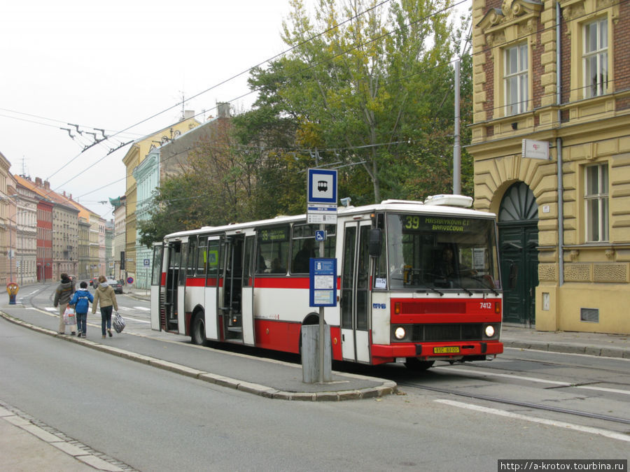 Автобус Брно, Чехия