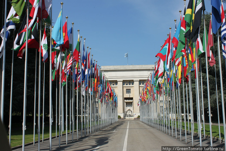 здание ООН.