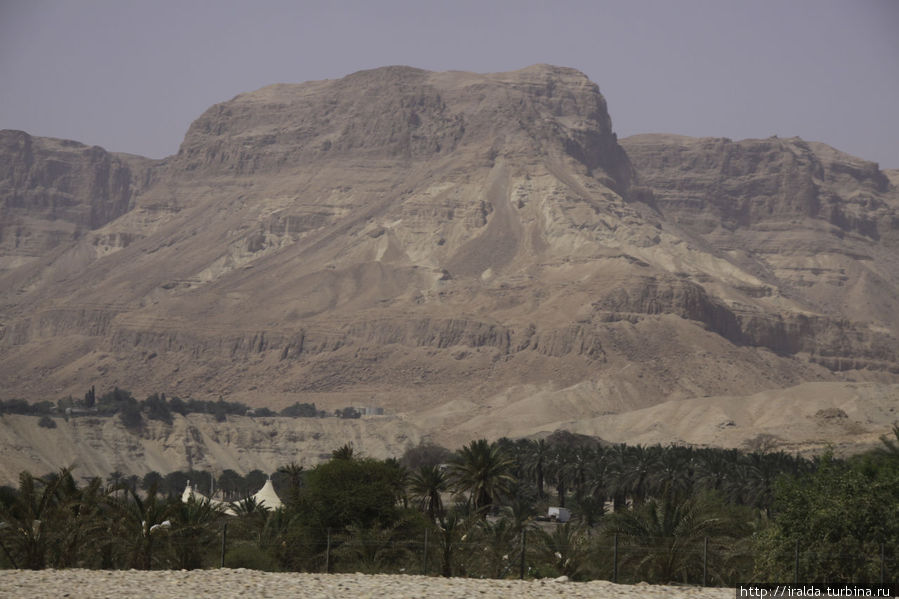 Иудейская пустыня и оазис вдоль Мертвого моря Мертвое море, Израиль