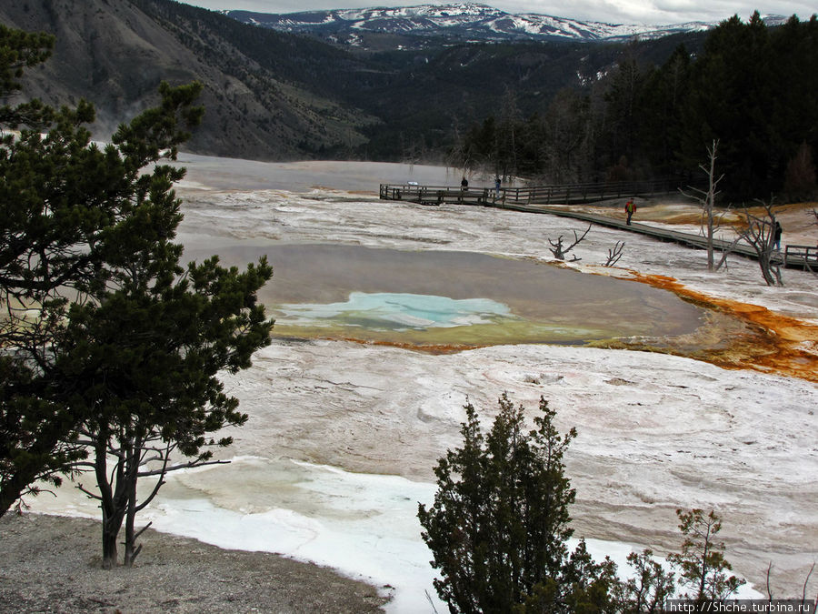 Террасы Мамонтовых горячих источников (Mammoth Hot Spring) Йеллоустоун Национальный Парк, CША