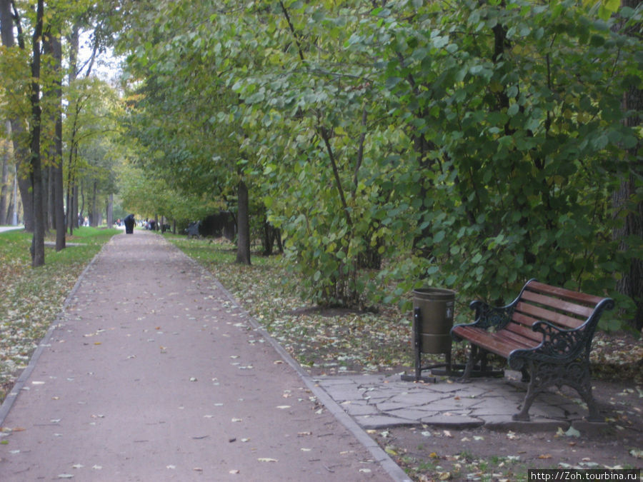 Осень отразилась в прудах Воронцовского парка. Москва, Россия