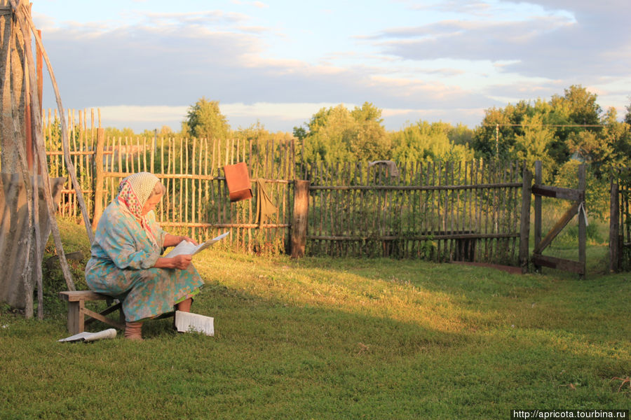 бабушка во дворе Тульская область, Россия