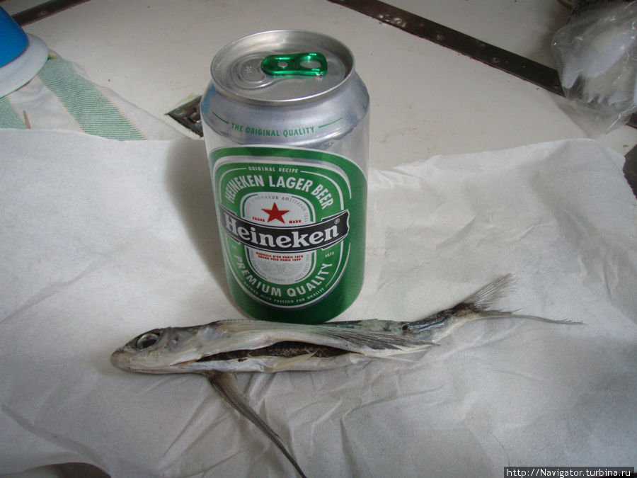 14 февраля, 2012 г. Последняя банка пива с летучей рыбкой...