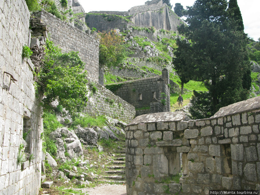 Старая крепость над городом Котор, Черногория