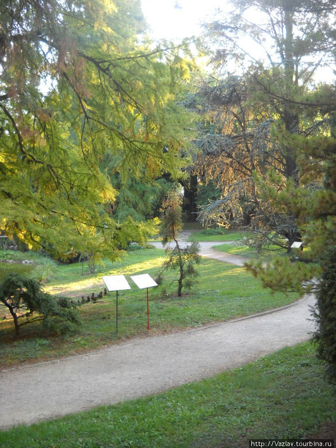 Ботанический сад / Botanicki Vrt