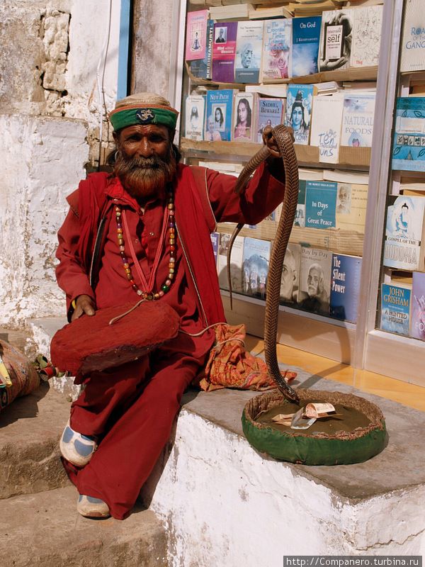 Заклинатель змей. Ришикеш, Индия