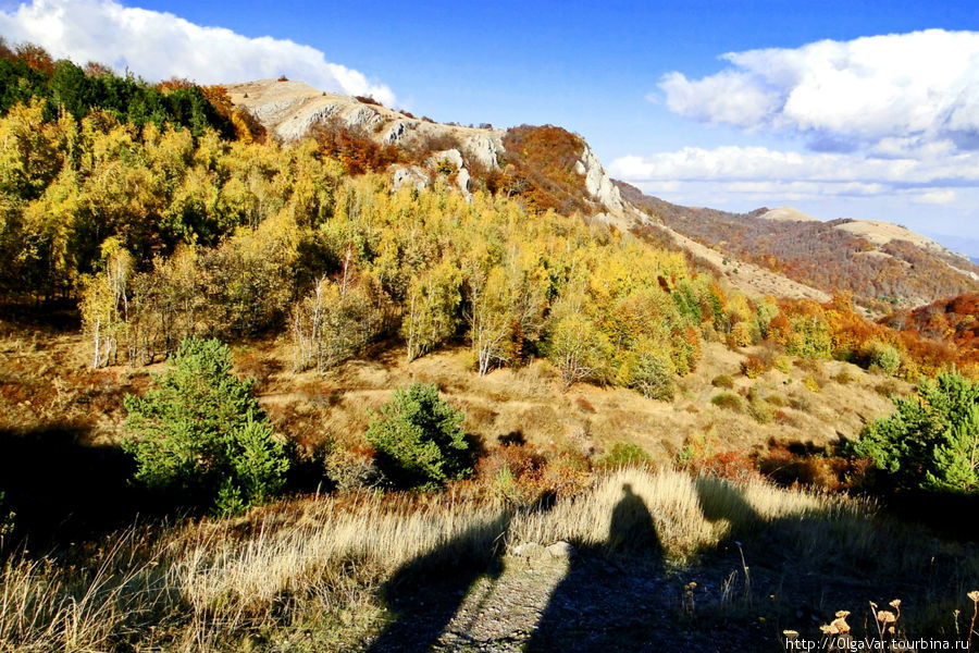 Тени Алушта, Россия