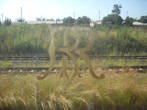 На стеклах есть еще вензеля Родезийские железные дороги, что говорит нам сразу о возрасте состава