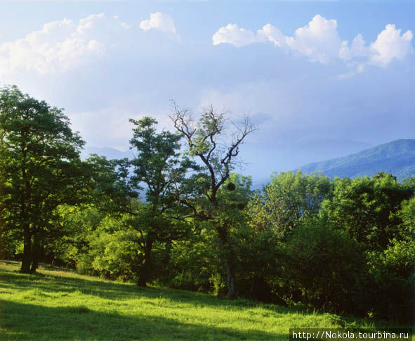 Красоты Кахетии Кахетия, Грузия