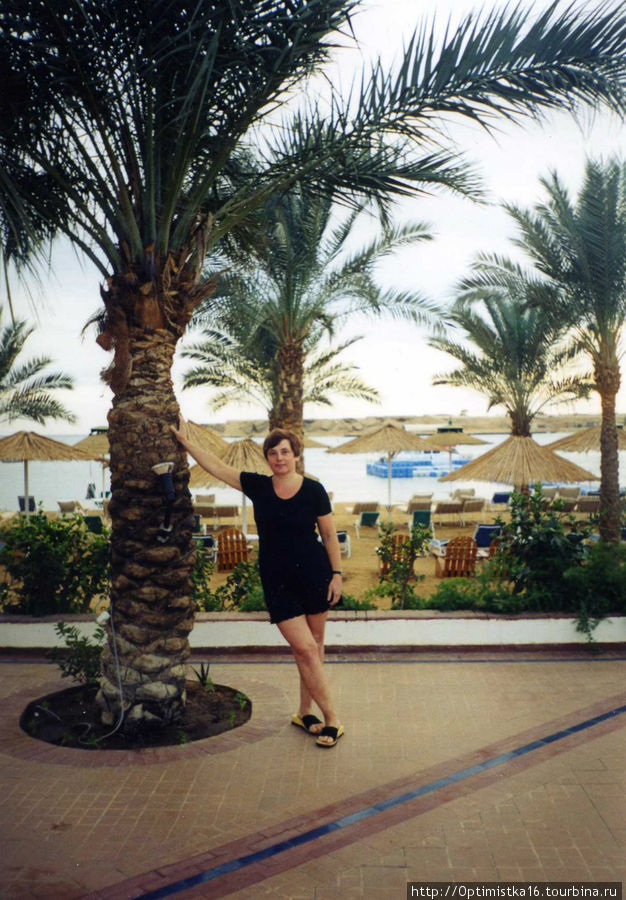 Seti Sharm Palm Beach Resort Шарм-Эль-Шейх, Египет