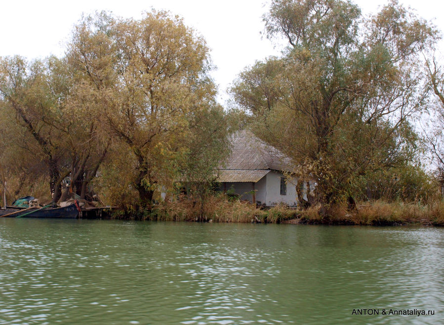 Как нас ветер качал на Дунайской волне Вилково, Украина