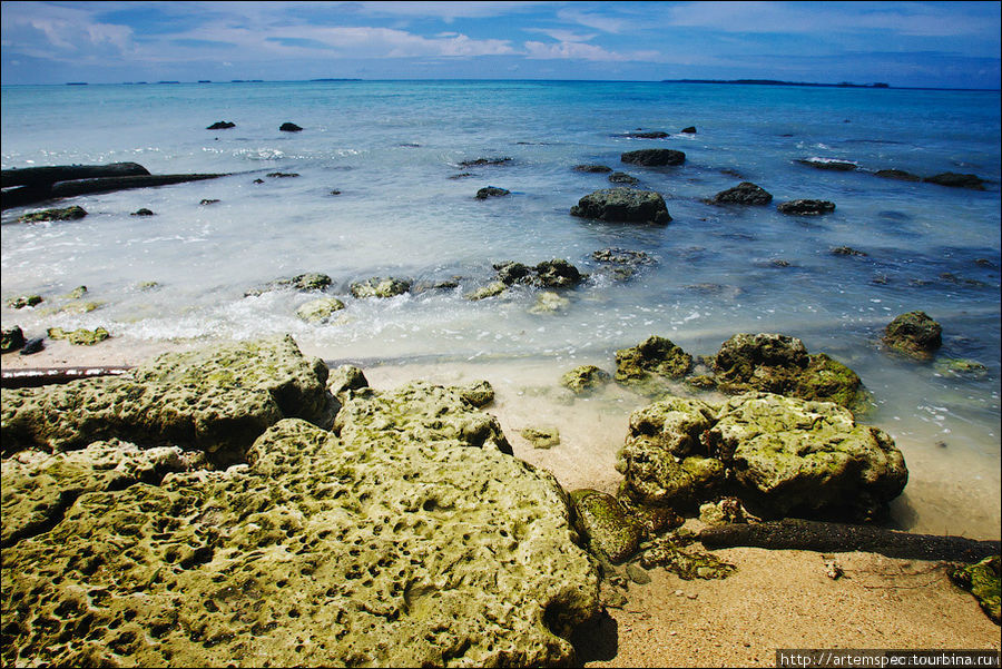 Многочисленные коралловые рифы и упавшие в воду стволы пальм являются домом для бесчисленных полчищ небольших крабов Суматра, Индонезия