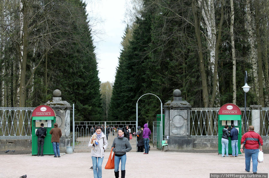 Павловский парк. Прогулка выходного дня