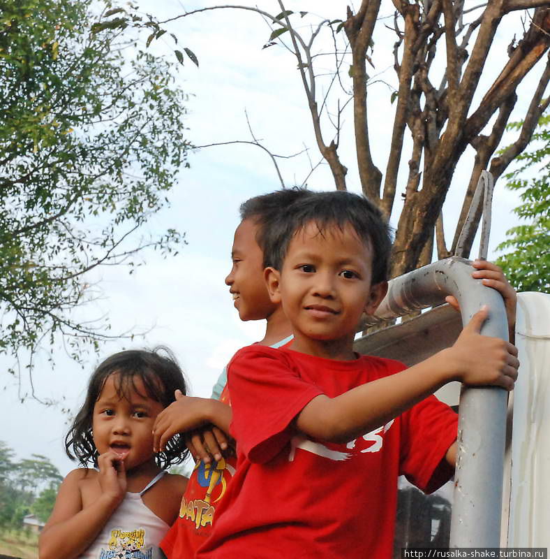 Дети Бали Бангли, Индонезия