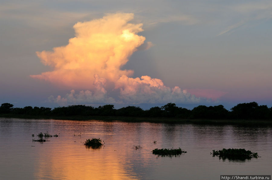 Река Парагвай Штат Мату-Гроссу-ду-Сул, Бразилия