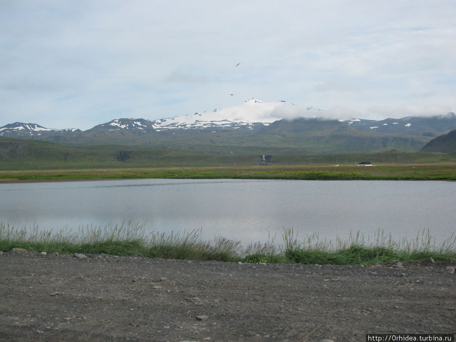 Нац. парк Snaefellsjokull — птичий базар и другое Снайфедльсйёкюдль Национальный Парк, Исландия