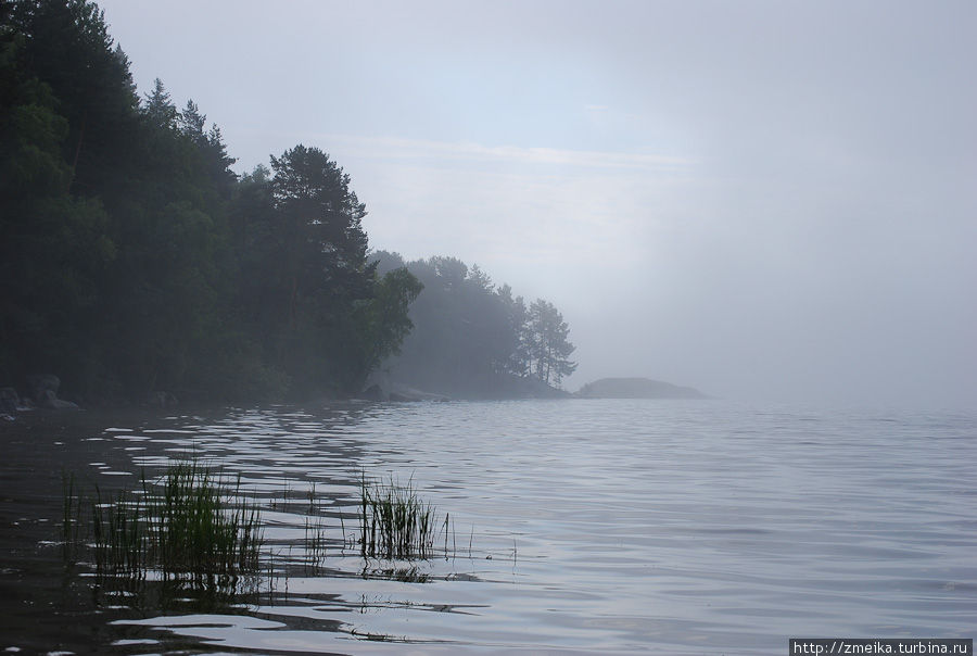 В тумане пейзажи озера выглядят очень загадочно. Вуорио, Россия