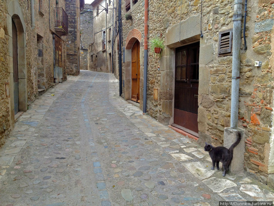 В конце концов нас нашел вот этот кот и провел заключительную часть экскурсии по городу, где он явно чувствовал себя хозяином Пера, Испания