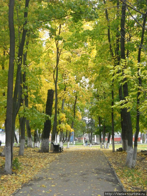Одна из аллей парка Подольск, Россия