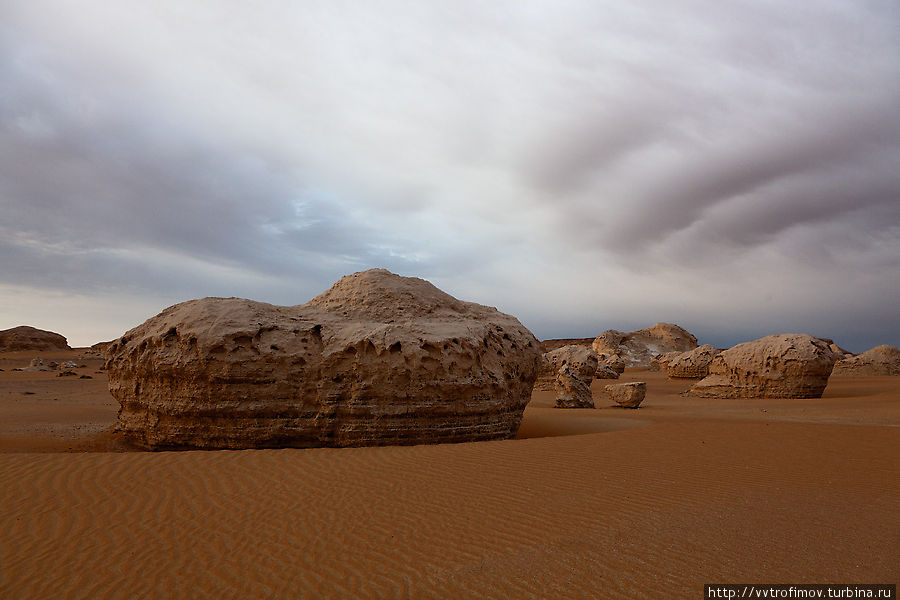 Пустынизьмы Фарафра, Египет