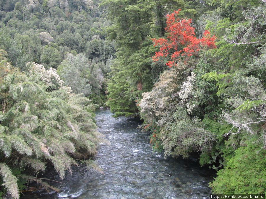 Живописные берега речки Пуеуэ Национальный Парк, Чили