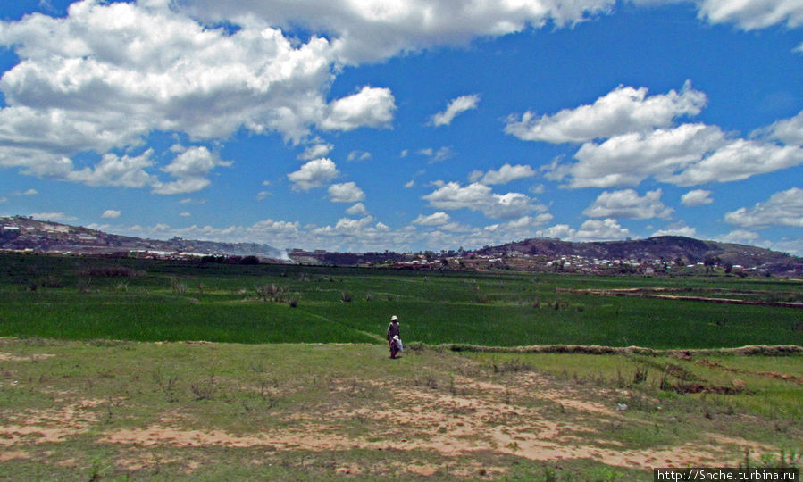Как мы позже убедились, рисовые поля окружают весь город, местами спокойно заходя за городскую черту Антананариву, Мадагаскар