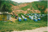 Мимо проходим жилища пасечников, которые приезжают в горы дышать воздухом и производить мёд на целое лето
