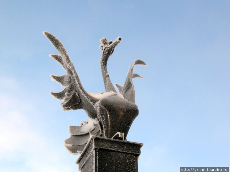 Черный лебедь — символ Еманжелинска. Еманжелинск, Россия