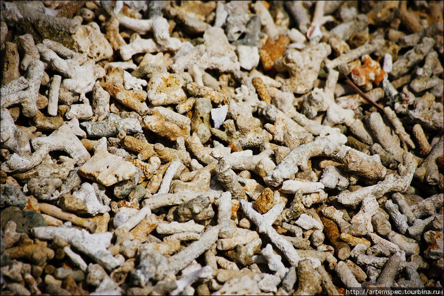 Местами берег сплошь покрыт мертвыми кораллами. Большой вклад в это внесло цунами 2004 года. Суматра, Индонезия