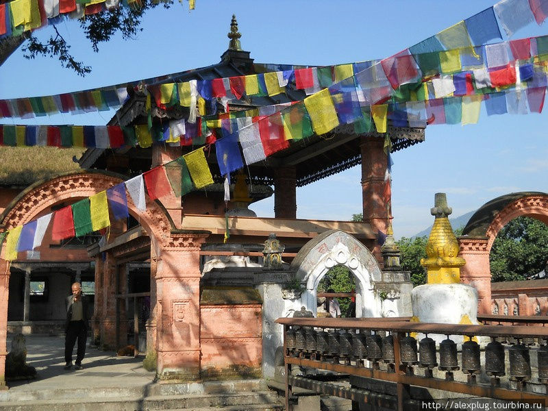 Любил добрый Будда шелест молитвенных флажков. И в награду за преданность, превратил некоторых обезьян в людей. Гокьо, Непал