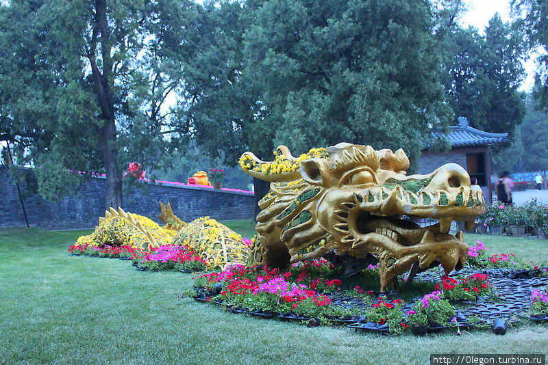 Большой Дракон из цветов и травы Китай