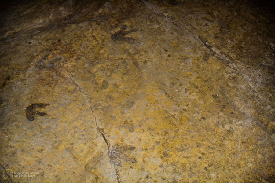 Сатаплия. Следы динозавров и пещера с сердцем Сатаплия Природный Парк, Грузия