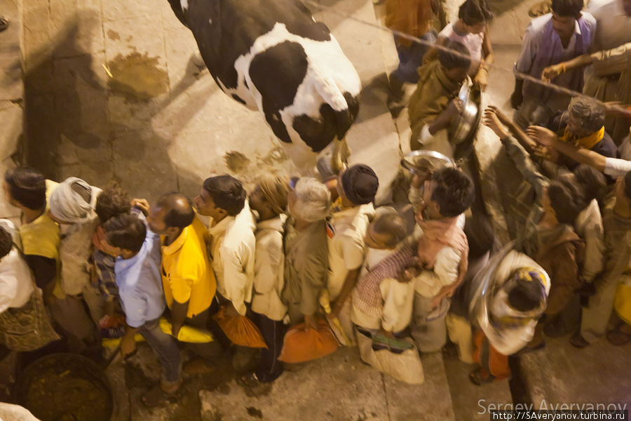 Раздача прасада (освящённой пищи) Варанаси, Индия