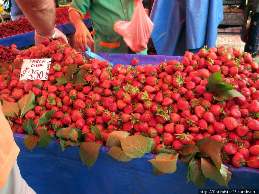 А какие цены на фрукты и овощи в центре Алании в конце мая? Алания, Турция
