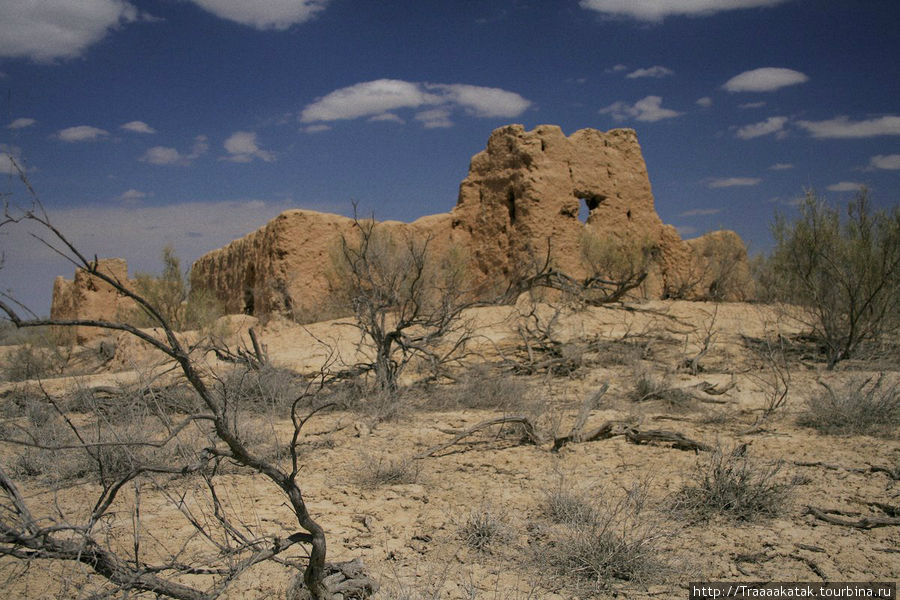 Древние городища пустыни Кызылкум Кызылординская область, Казахстан