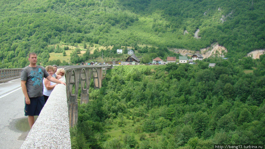 Ясные воды реки Тара Национальный парк Дурмитор, Черногория