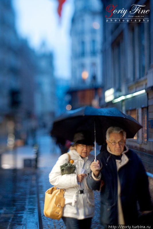 Из серии Дождь в Брюсселе.
Без обработки. Мастеровой тилт-объектив